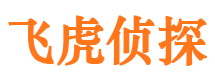 柳城市侦探公司